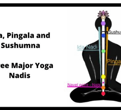 Divine Knowledge from Swar Yog