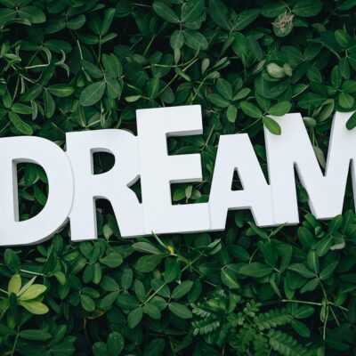 Word 'Dream' in white letters on lush green leaves, symbolizing growth and inspiration.