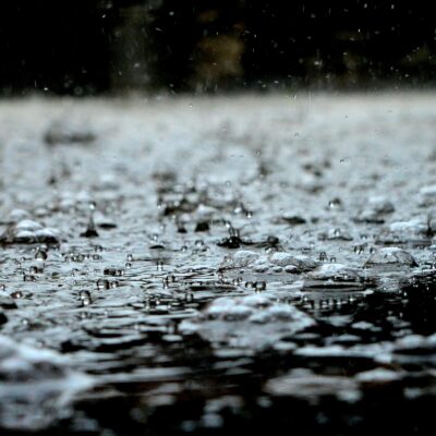 Monsoon A Kaliedoscope of Colour