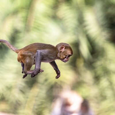 Keep the child alive in you!