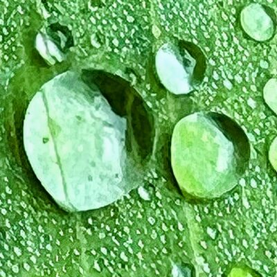 iPhone Photography - Elixir of Life