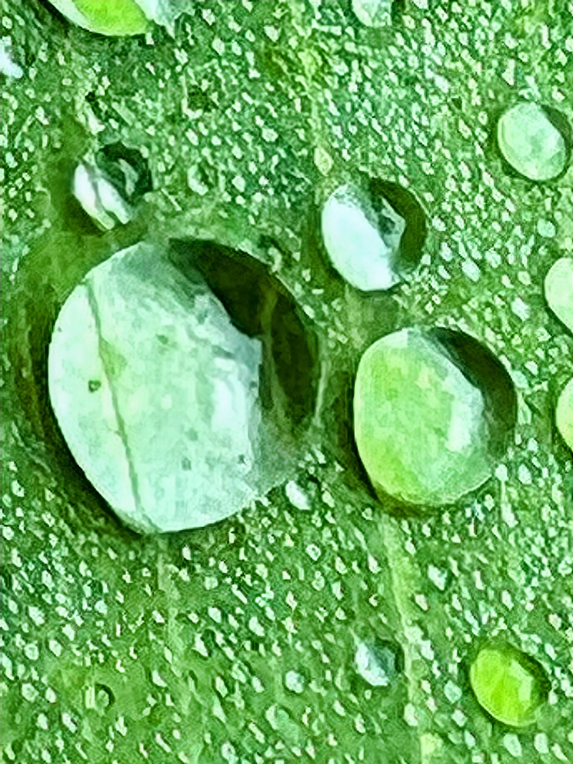 iPhone Photography - Elixir of Life