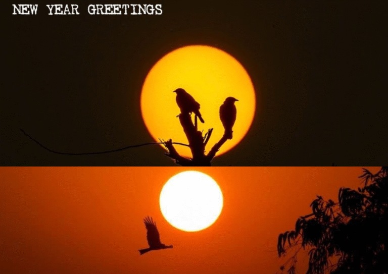 The New year greeting wings
