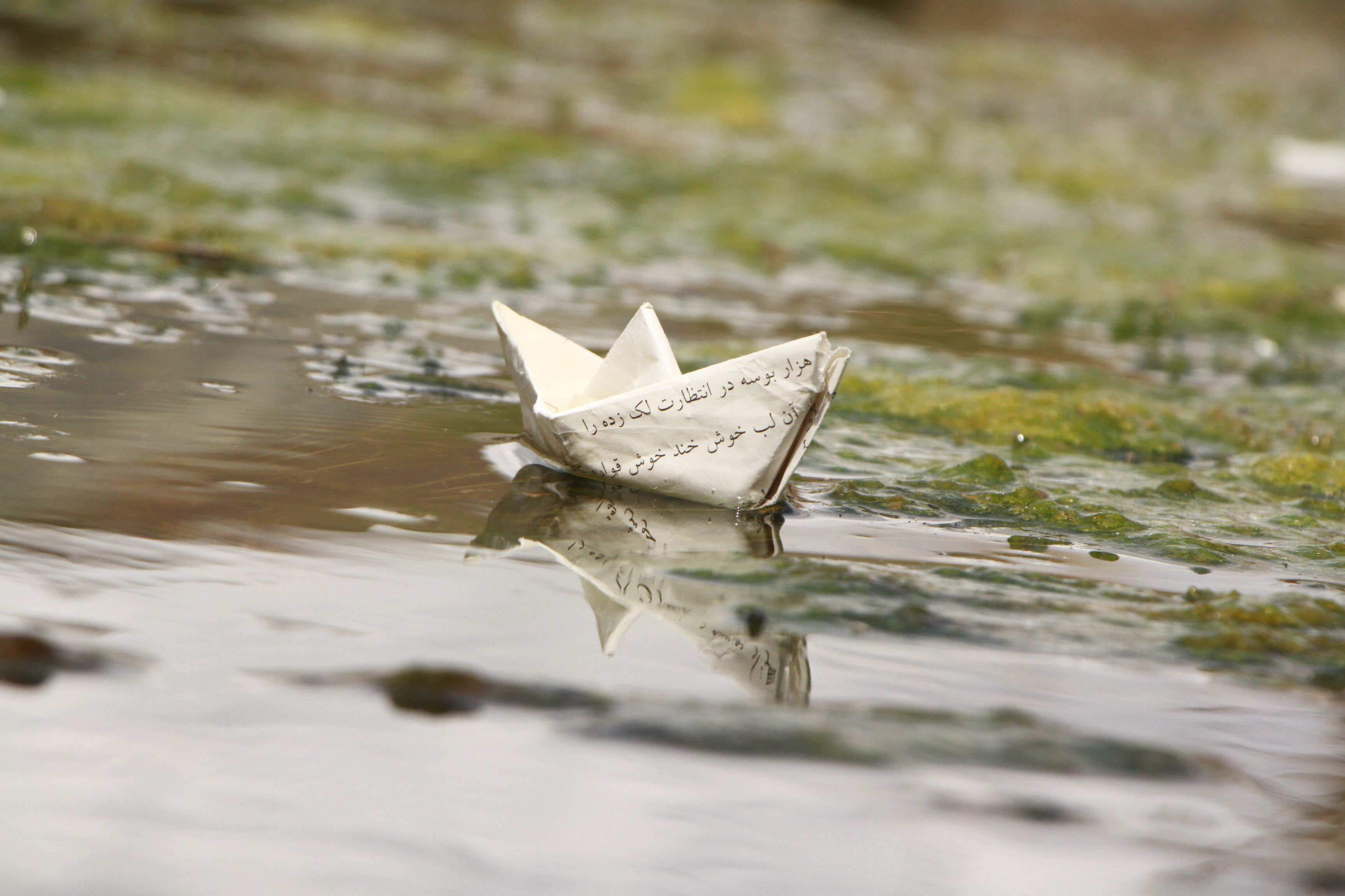 Paper Boat, Monsoon, Rain and puddle