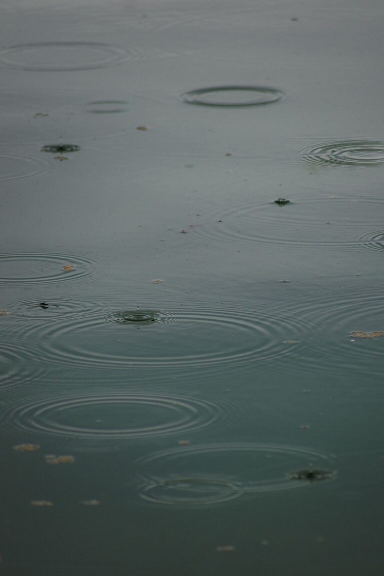 Rain