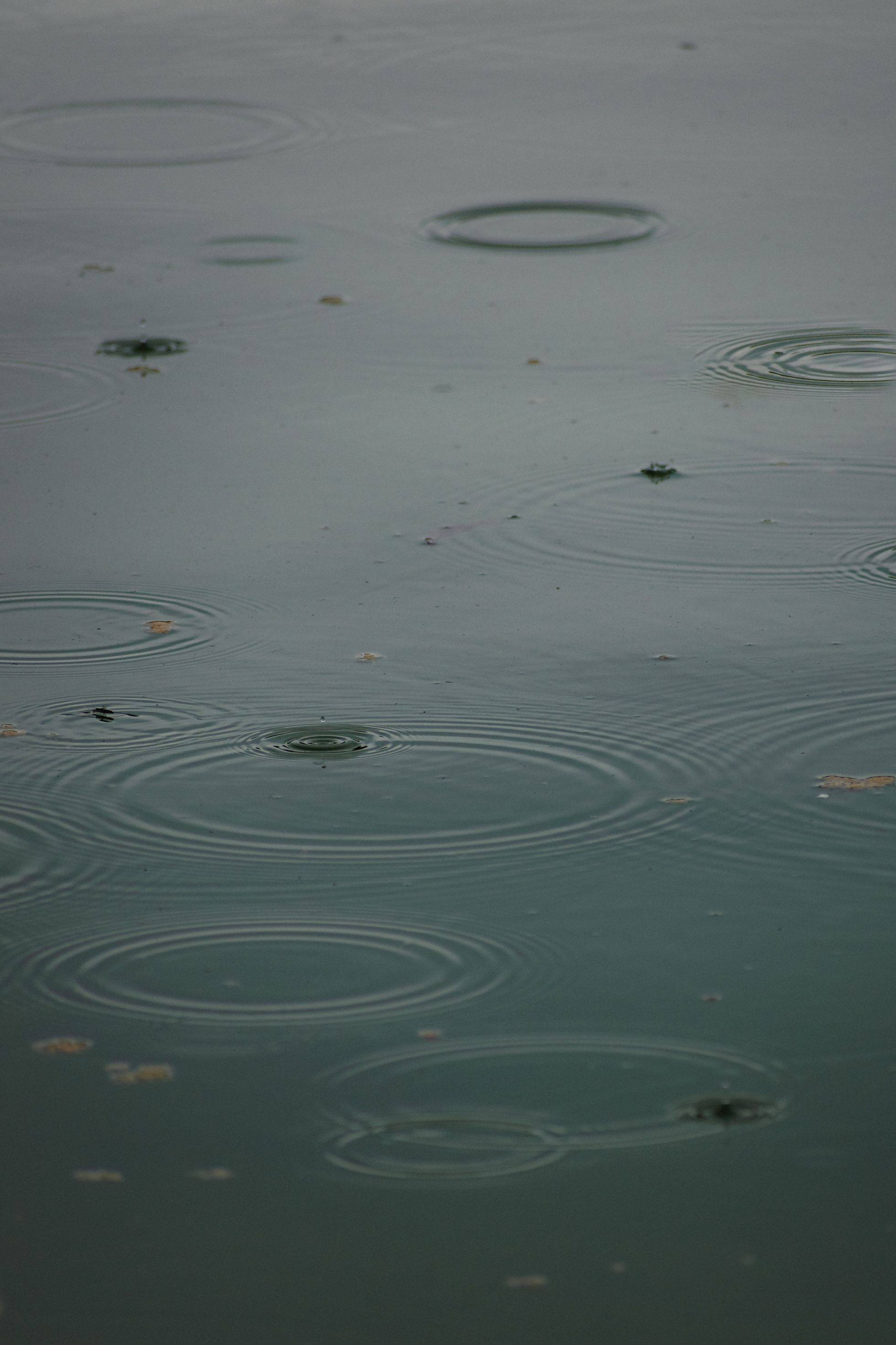 Rain